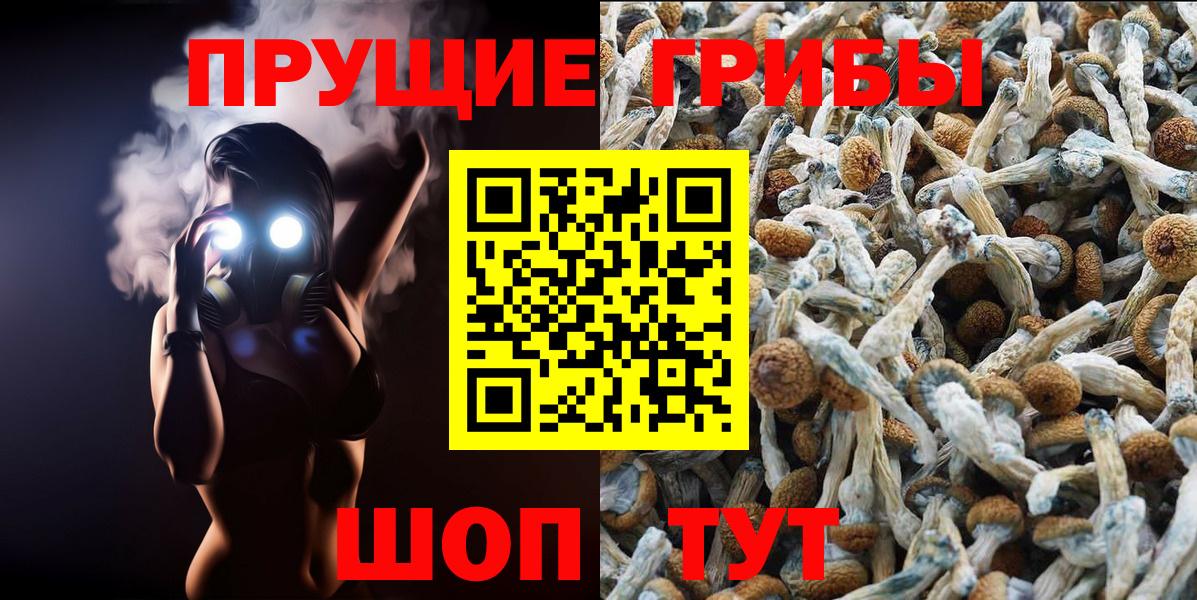 Псилоцибиновые грибы прущие грибы Кандалакша