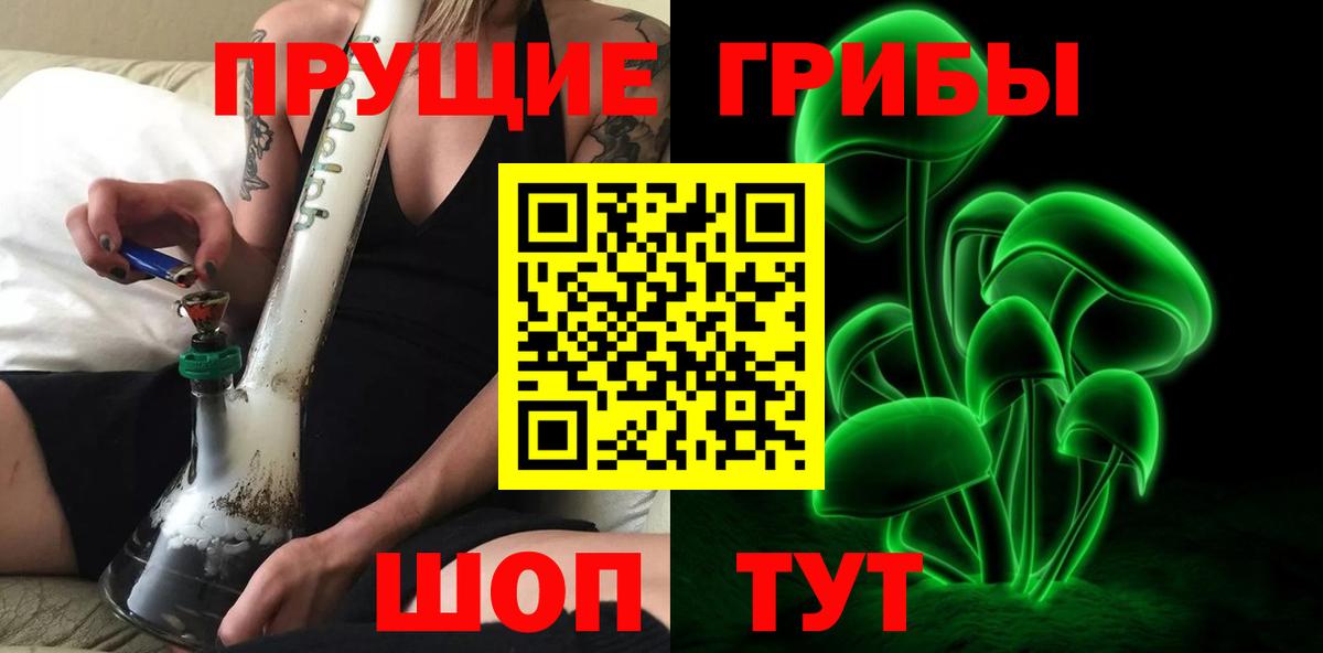 Галлюциногенные грибы Psilocybe  Вход с VPN  Кандалакша 